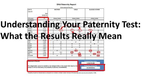 How to Understand your Paternity Test Results: Comprehensive .
